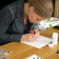 turvasilmad manguasjadele maalitud (2) turvasilmad manguasjadele maalitud (2)