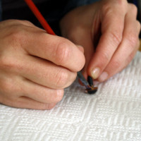 turvasilmad manguasjadele maalitud (3) turvasilmad manguasjadele maalitud (3)