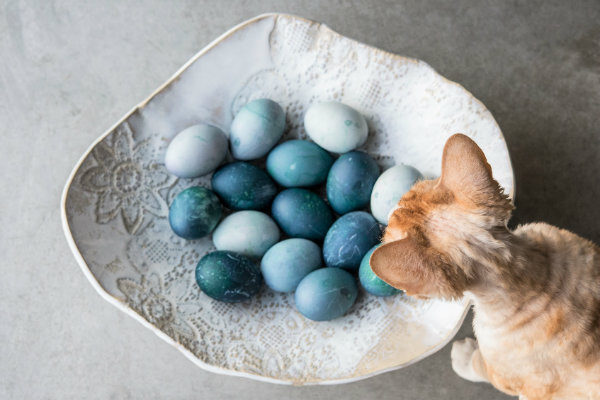 natural egg dye red cabbage
