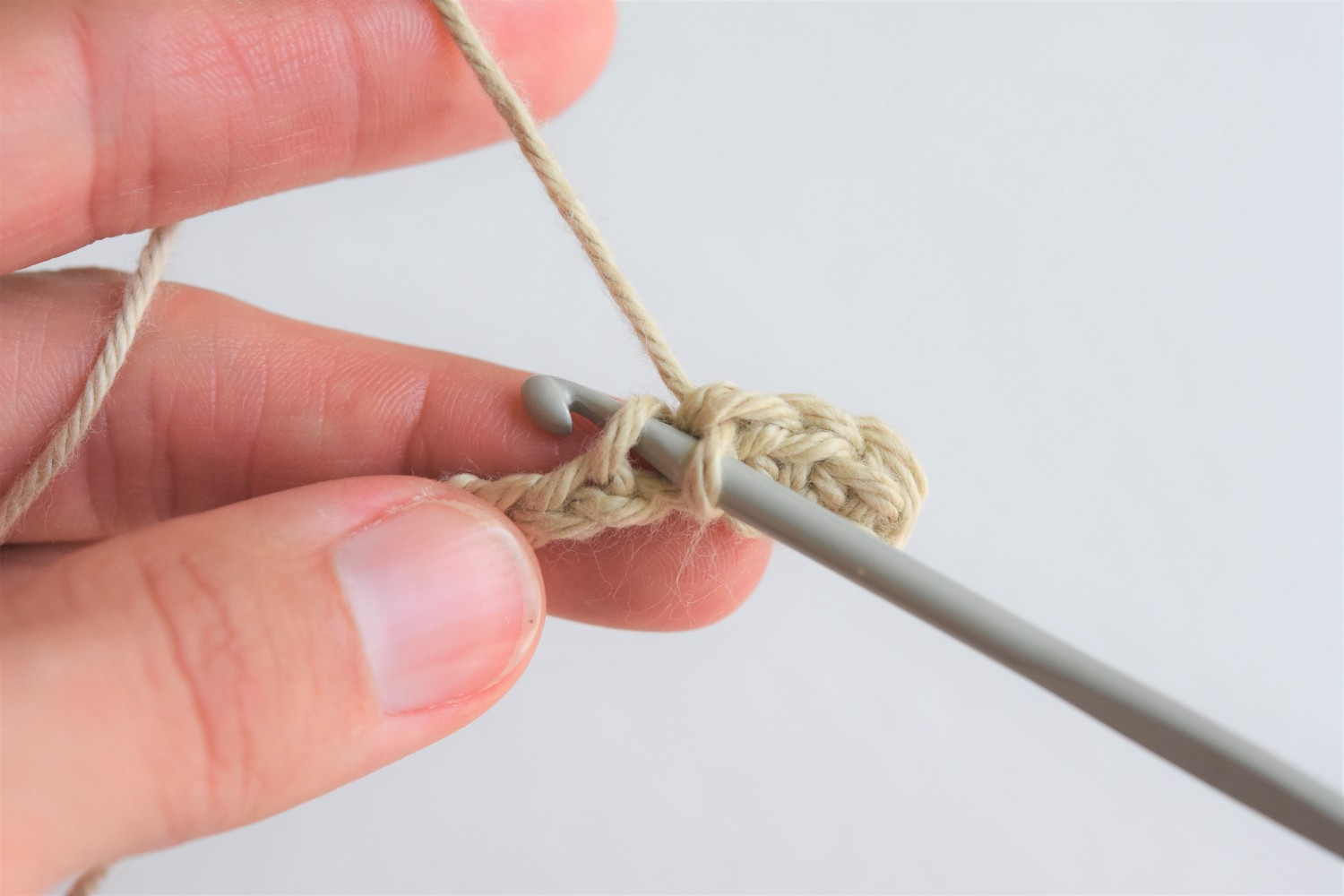 insert crochet hook through stitch
