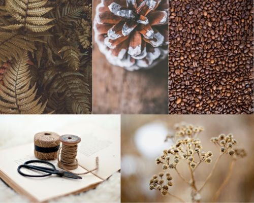 color mood board brown