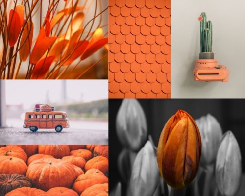 orange color inspiration mood board