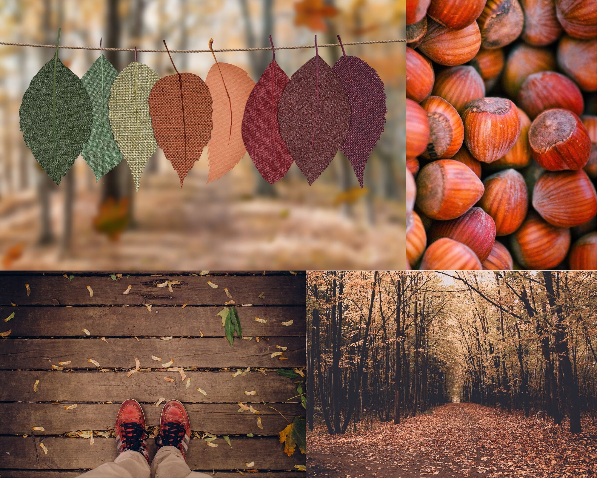 november color mood board