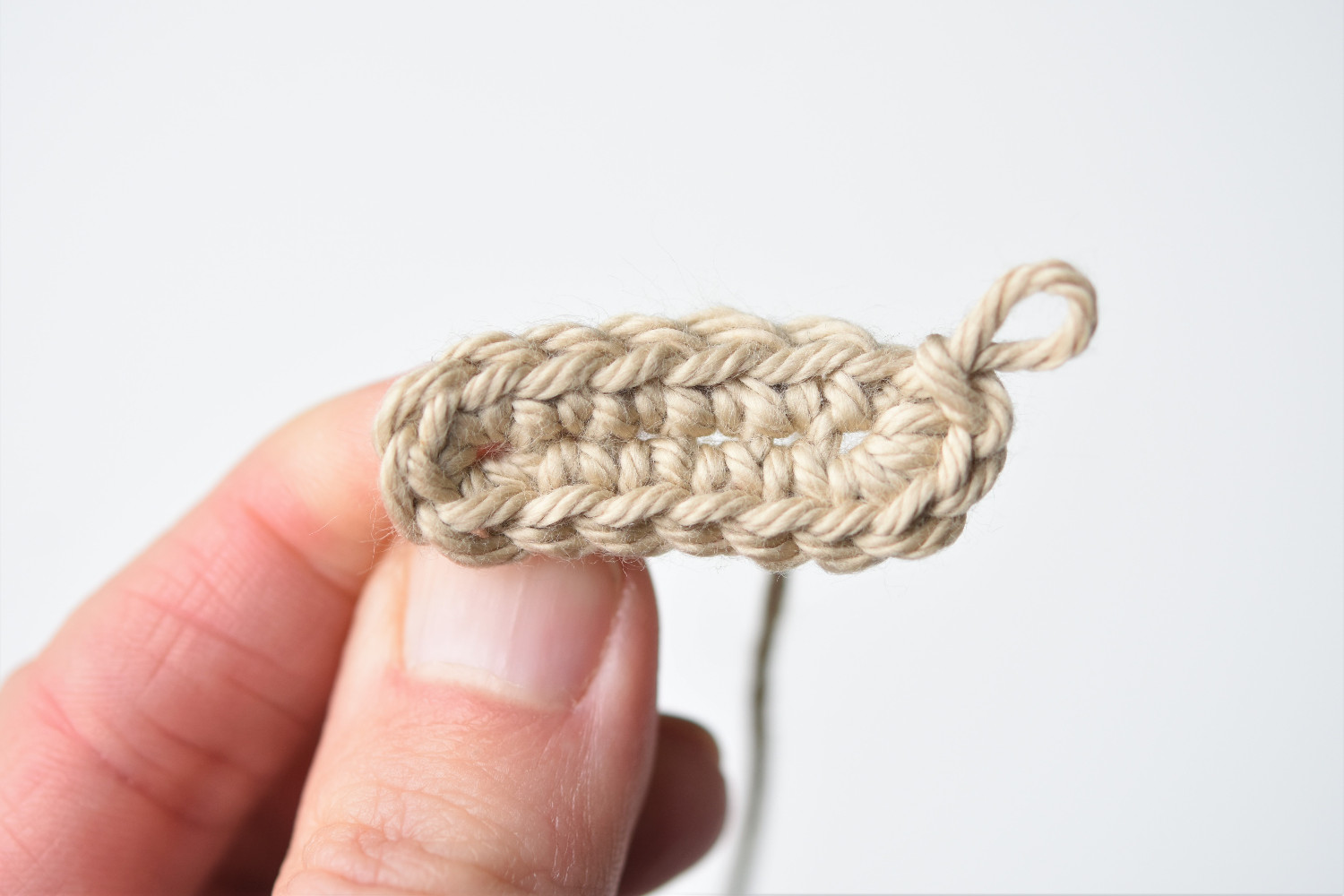 crochet around the foundation chain