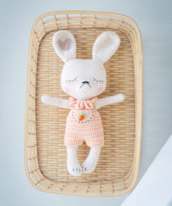 crochet carrot pants bunny