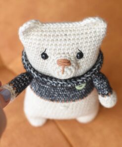 kampsuni ja südamega kaisukaru