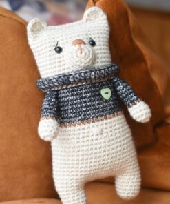 kampsuni ja südamega kaisukaru