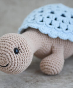 heegeldatud kilpkonn pitsilise kilbiga