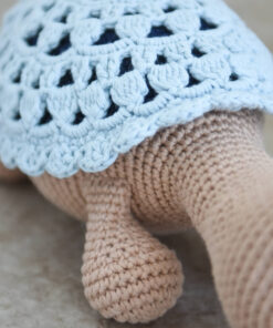 heegeldatud kilpkonn pitsilise kilbiga