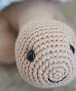 heegeldatud kilpkonn pitsilise kilbiga