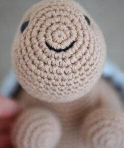 heegeldatud kilpkonn pitsilise kilbiga