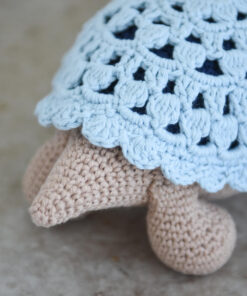 heegeldatud kilpkonn pitsilise kilbiga