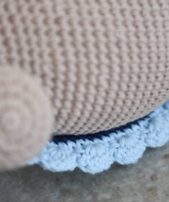 heegeldatud kilpkonn pitsilise kilbiga