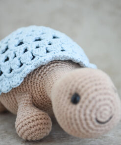 heegeldatud kilpkonn pitsilise kilbiga