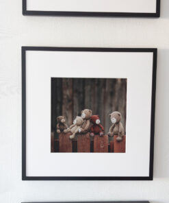 Framed photo art bears on the fence