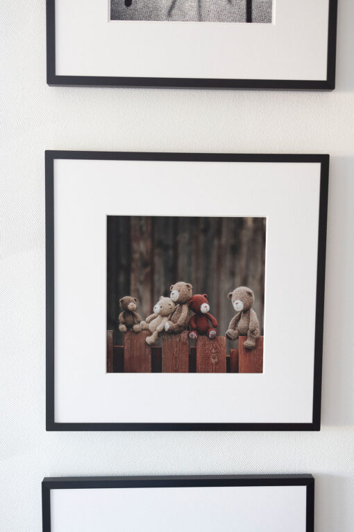Framed photo art bears on the fence