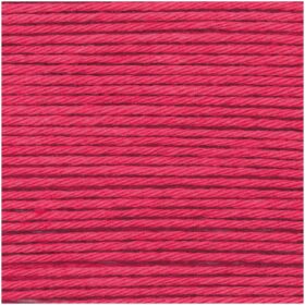 013 raspberry