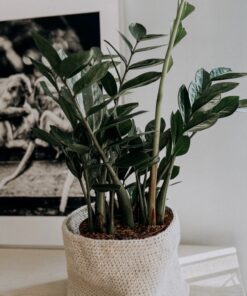 hemp yarn creative natur