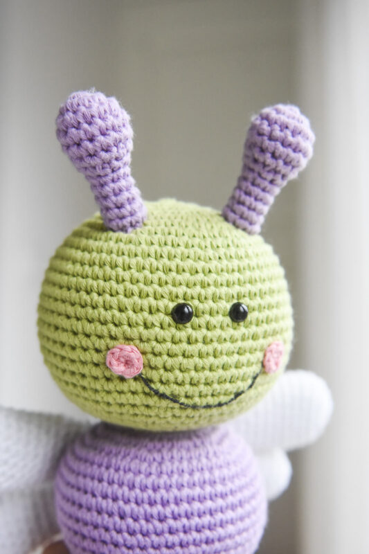 heegeldatud kaisukas putukas